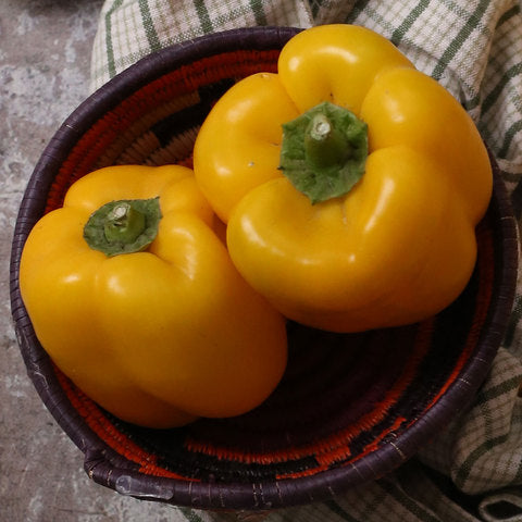 Organic Yellow Capsicum